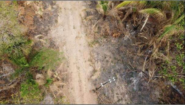 Fazenda de MS &eacute; investigada por queima de 2,1 mil hectares em &aacute;rea proibida
