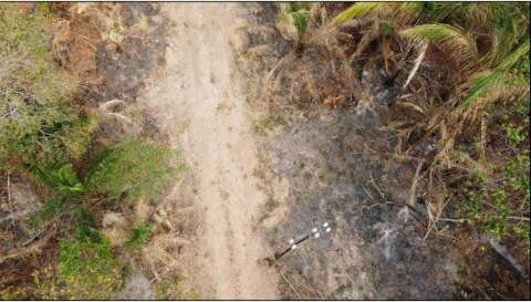 Fazenda de MS &eacute; investigada por queima de 2,1 mil hectares em &aacute;rea proibida