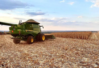 MS perde posição no ranking com queda inédita no valor da produção agrícola MS perde posição no ranking com queda inédita no valor da produção agrícola