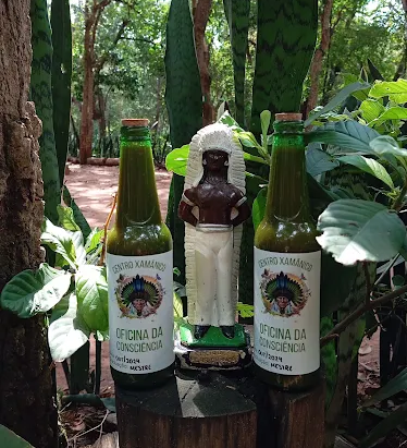 Fiscaliza&ccedil;&atilde;o apreende ch&aacute; de ayahuasca em instituto xam&acirc;nico 