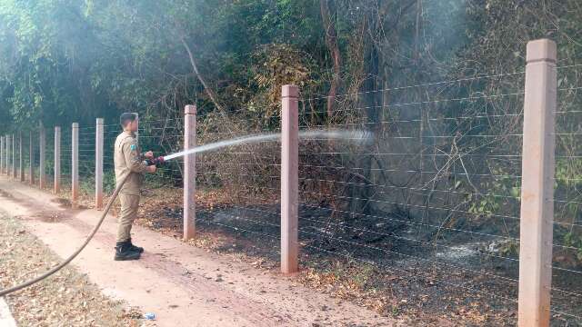 Fogo avan&ccedil;a no Parque dos Poderes e bombeiros adentram mata