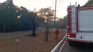 Fogo avan&ccedil;a no Parque dos Poderes e bombeiros adentram mata