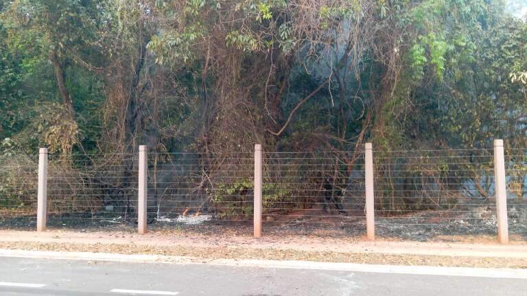 Campo Grande News