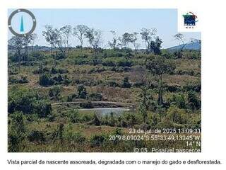 Inqu&eacute;rito investiga desmatamento e extra&ccedil;&atilde;o ilegal de madeira em &aacute;rea protegida