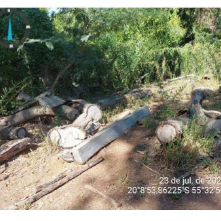 Inqu&eacute;rito investiga desmatamento e extra&ccedil;&atilde;o ilegal de madeira em &aacute;rea protegida