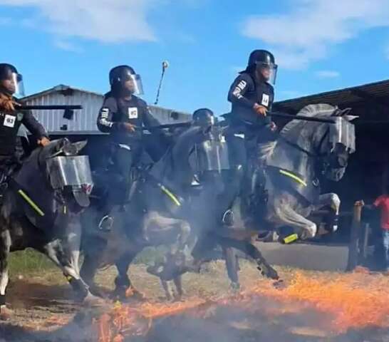 Para alta performance, cavalos da PM consomem  R$ 3,9 milh&otilde;es em ra&ccedil;&atilde;o