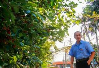 P&eacute; de amora carregado &eacute; uma das &aacute;rvores frut&iacute;feras &ldquo;sem dono&rdquo; na Av. Mato Grosso