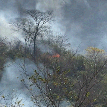 Propriet&aacute;rios relatam preocupa&ccedil;&atilde;o com fogo voltando para &aacute;reas preservadas