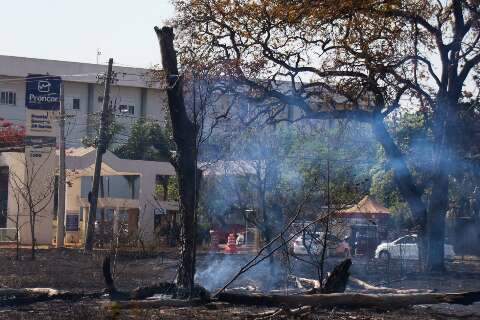 Moradora diz que inc&ecirc;ndios em mata perto de hospital se repetem h&aacute; 30 anos