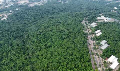 Prefeita refor&ccedil;a preju&iacute;zos &agrave; Capital com embargo &agrave;s obras no entorno do Parque