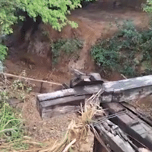 Rio da Prata volta a secar, deixa cardume &ldquo;ilhado&rdquo; e repete cen&aacute;rio desolador 