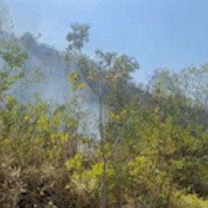 Inc&ecirc;ndio na Serra da Bodoquena pode ter sido causado por idosa queimando folhas