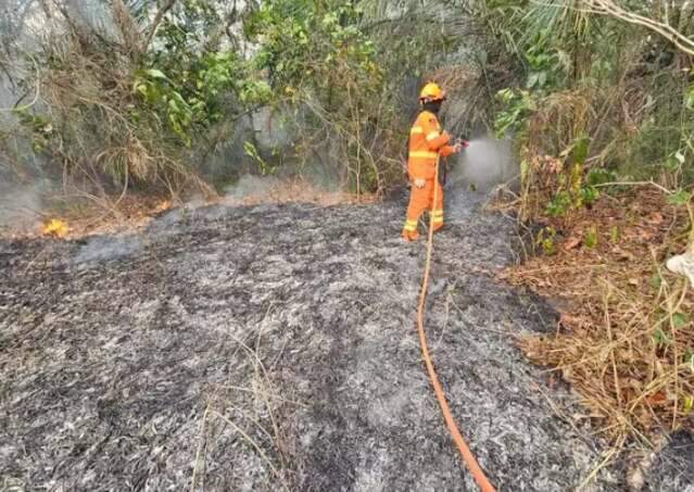 Apesar de queda, clima extremo aumenta risco de queimadas em MS