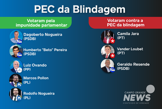 Com aval de MS, C&acirc;mara esconde votos e PEC da Blindagem segue para Senado