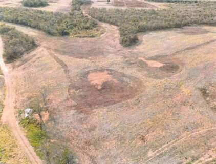 Dono de fazenda &eacute; investigado por queimar lenha em 283,2 mil hectares 