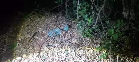 Feto encontrado em mata foi enterrado pelo pai