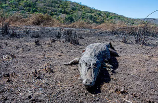 Aquecimento global &eacute; inevit&aacute;vel, mas intensidade depende da a&ccedil;&atilde;o humana