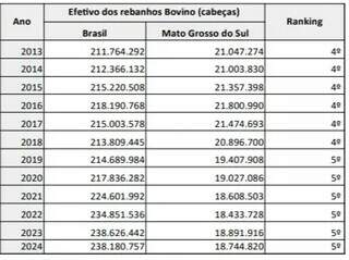 Rebanho bovino de MS registra queda, mas Corumb&aacute; segue como 2&ordf; no Pa&iacute;s
