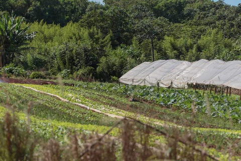 Uni&atilde;o libera R$ 12 bilh&otilde;es para renegociar d&iacute;vidas de produtores rurais