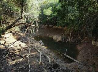 Instituto prepara resgate de peixes em trecho seco do rio da Prata
