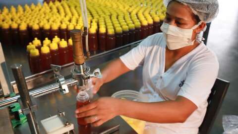 Produ&ccedil;&atilde;o de leite e mel cai em Mato Grosso do Sul, aponta IBGE