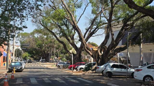 Enquete: 40% dizem que reaproveitam papel pensando no meio ambiente