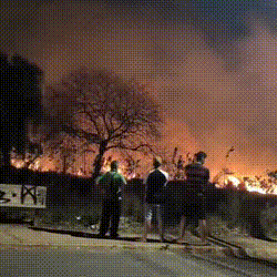Fogo se espalha rapidamente em &aacute;rea de vegeta&ccedil;&atilde;o no Coophasul