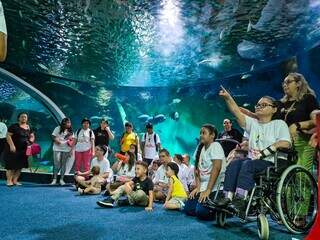 Sereia nada em aqu&aacute;rio durante evento de conscientiza&ccedil;&atilde;o ambiental no Bioparque