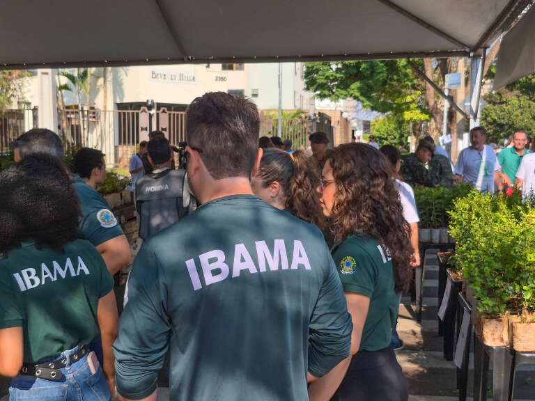 Campo Grande News