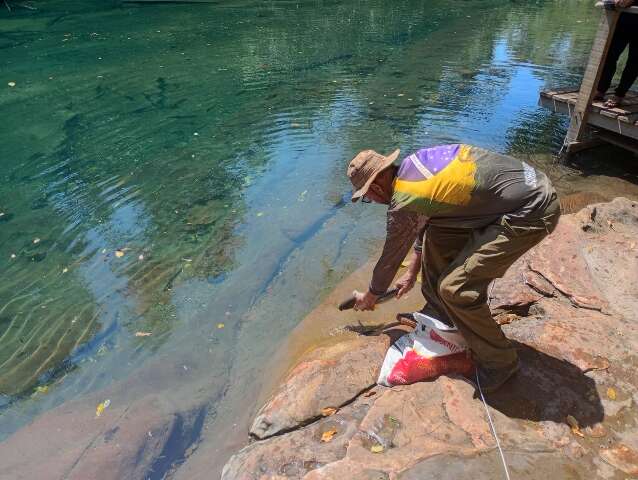 Pela segunda vez, peixes s&atilde;o retirados de trecho do Rio da Prata e salvos