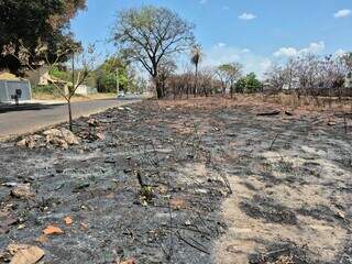 Inc&ecirc;ndio em matagal exp&otilde;e terreno baldio usado como lix&atilde;o de garrafas de vidro