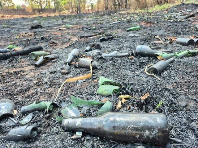 Inc&ecirc;ndio em matagal exp&otilde;e terreno baldio usado como lix&atilde;o de garrafas de vidro