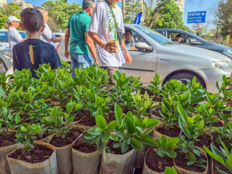 Campo Grande News