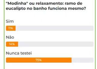 Eucalipto no chuveiro: tend&ecirc;ncia nas redes sociais pode custar at&eacute; R$ 70 