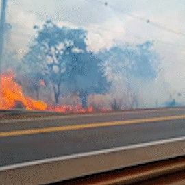 Inc&ecirc;ndio atinge vegeta&ccedil;&atilde;o &agrave;s margens da BR-163 em Campo Grande