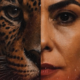 Garra felina: Igrejinha apresenta samba em homenagem a Soraya