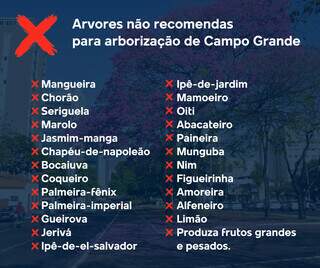 Campo Grande tem 25 &aacute;rvores n&atilde;o recomendadas para o plantio e 2 proibidas
