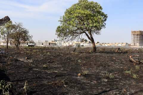 Primavera come&ccedil;a com previs&atilde;o de calor acima da m&eacute;dia e risco de queimadas em MS