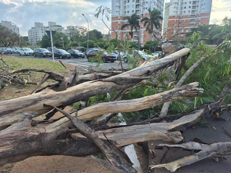 Campo Grande News