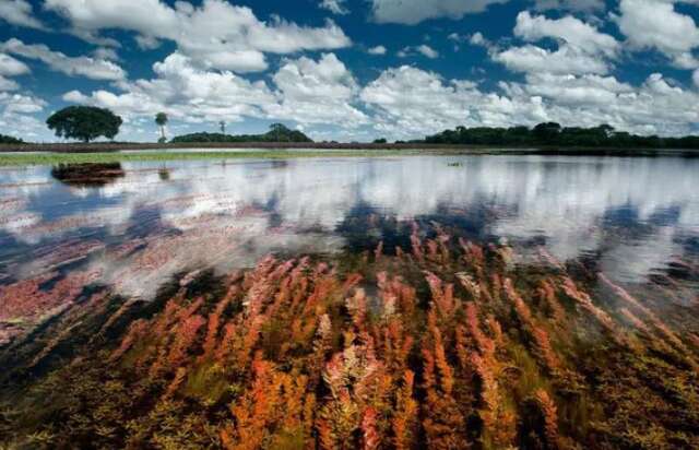 Parque Estadual Alagados do Taquari ter&aacute; investimentos de R$ 120 milh&otilde;es