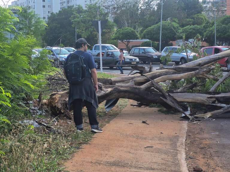 Campo Grande News