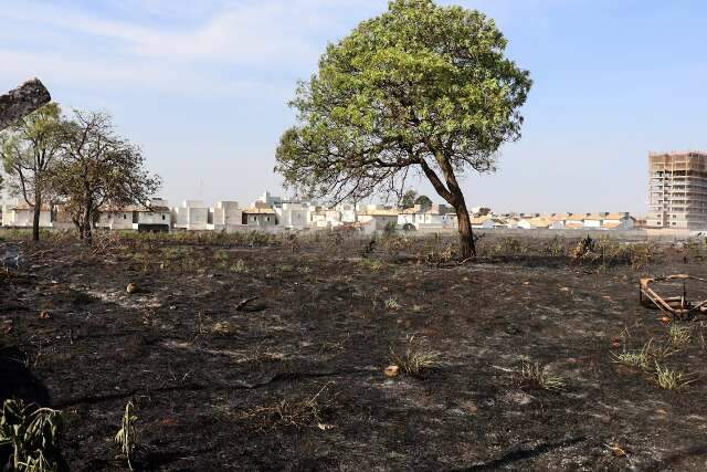 Primavera come&ccedil;a com previs&atilde;o de calor acima da m&eacute;dia e risco de queimadas em MS