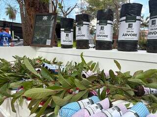 Flor de Ara&ccedil;&aacute; celebra o Dia da &Aacute;rvore e a chegada da primavera