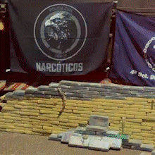 Coca&iacute;na encontrada em caminh&atilde;o &eacute; avaliada em R$ 24 milh&otilde;es