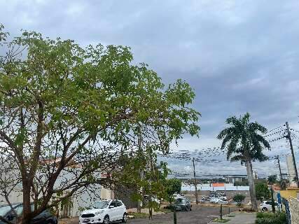 Chuva melhora qualidade do ar em Campo Grande