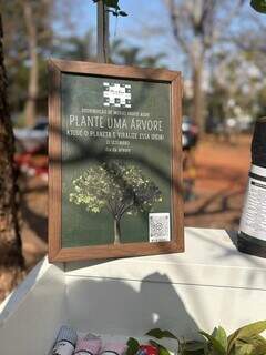 Flor de Ara&ccedil;&aacute; celebra o Dia da &Aacute;rvore e a chegada da primavera