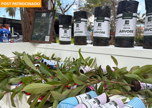 Flor de Ara&ccedil;&aacute; celebra o Dia da &Aacute;rvore e a chegada da primavera