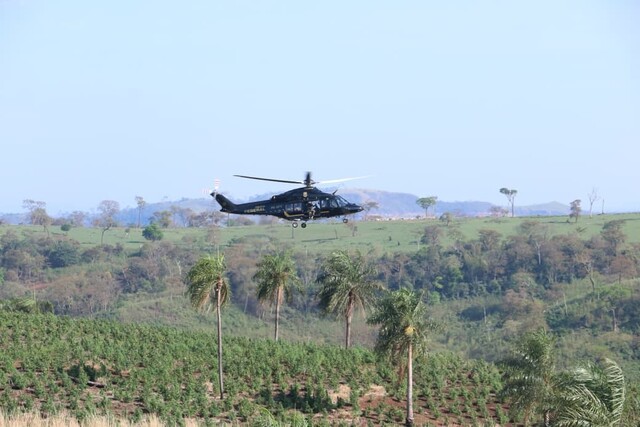 Quase 600 toneladas de maconha são destruídas em operação na fronteira