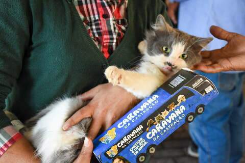 Mais 17 munic&iacute;pios de MS recebem caravana de castra&ccedil;&otilde;es de pets; confira a lista