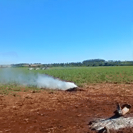 Ind&iacute;genas denunciam ataque policial em Caarap&oacute; durante despejo sem mandado
